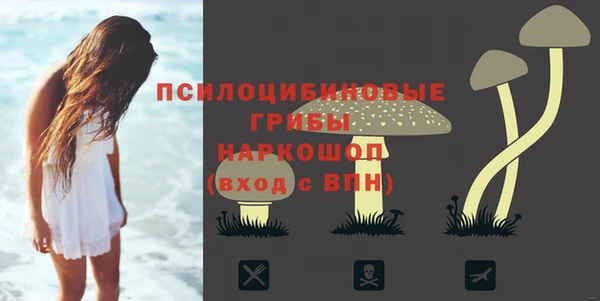 ПСИЛОЦИБИНОВЫЕ ГРИБЫ Балахна