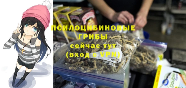 спайс Арсеньев