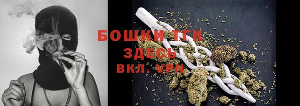 спайс Арсеньев