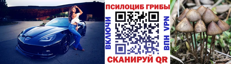 Галлюциногенные грибы Psilocybine cubensis  Омутнинск 